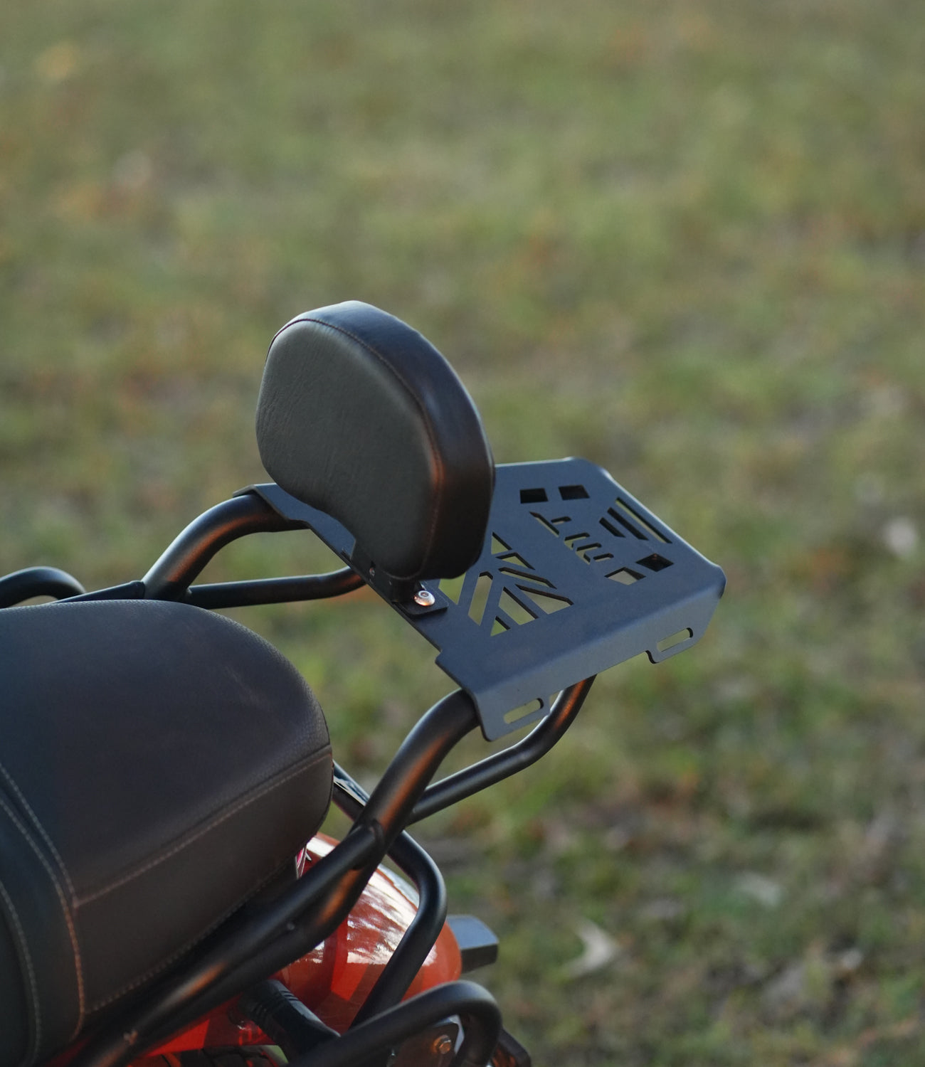 Mototorque Back Carrier for TVS Ronin