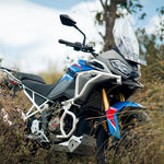 TVS Apache RTX 300 Raptor Crash Guard White
