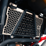 Radiator Guard SS for TVS Apache RTX 300 - fitted view