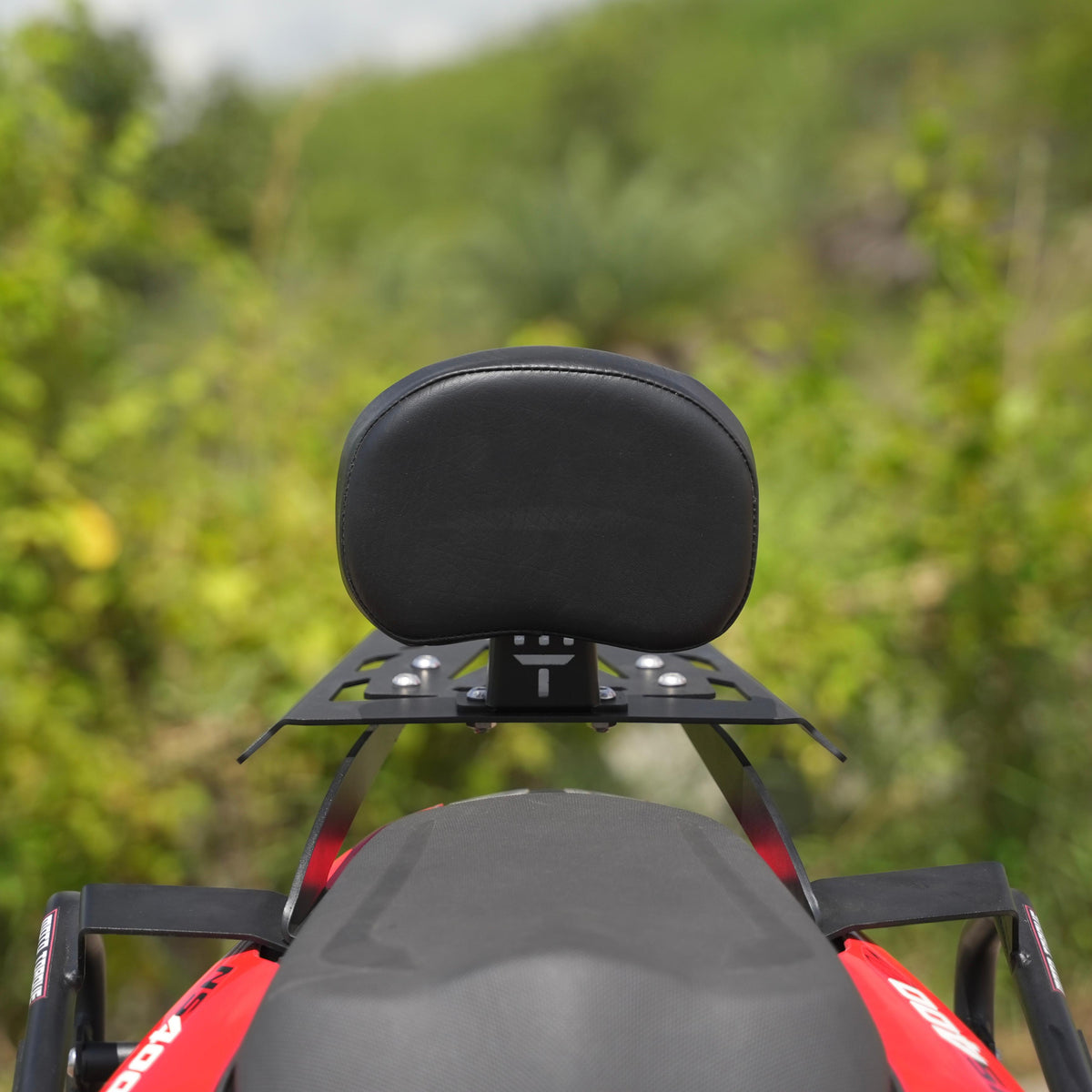 MotoTorque Backrest (Removable) for Bajaj Pulsar NS400Z — Pillion Comfort