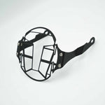 Mototorque Head Light Guard for TVS Ronin - view 1